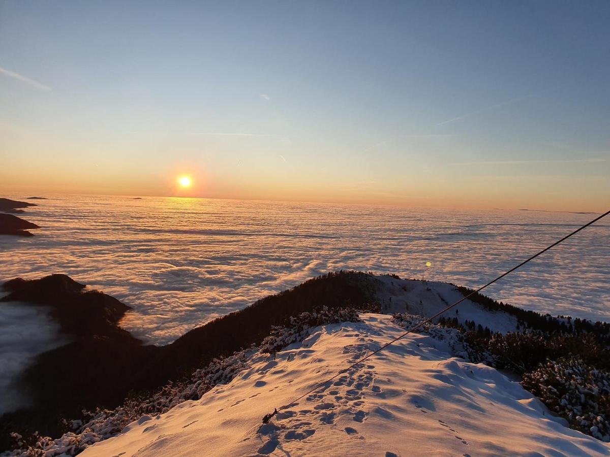 Hisa Na Vrtu Sencur Exterior foto